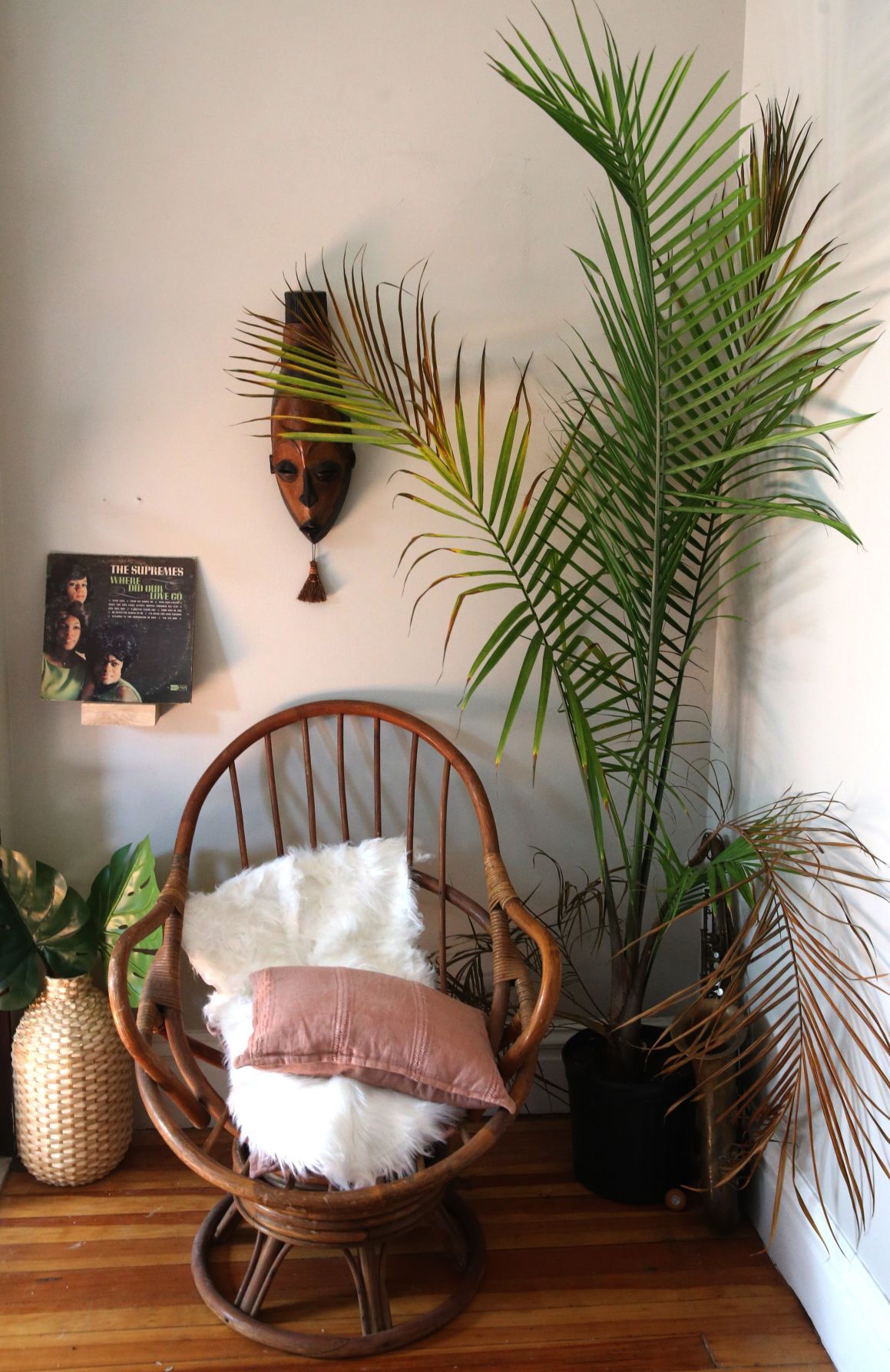 At home with musical artist Tonina Saputo
